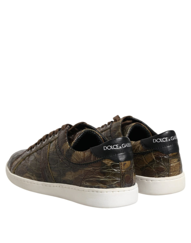 Dolce & Gabbana Brown Exotic Leather Low Top Sneakers Shoes - Beyzy Store - Dolce & Gabbana