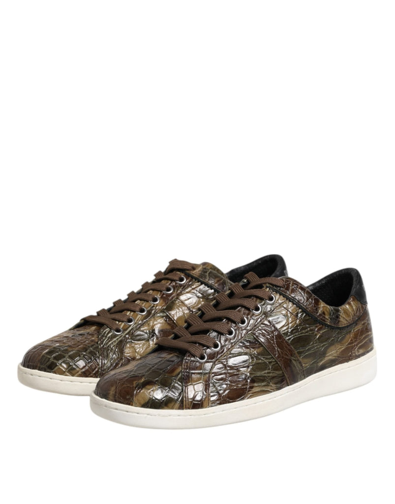 Dolce & Gabbana Brown Exotic Leather Low Top Sneakers Shoes - Beyzy Store - Dolce & Gabbana
