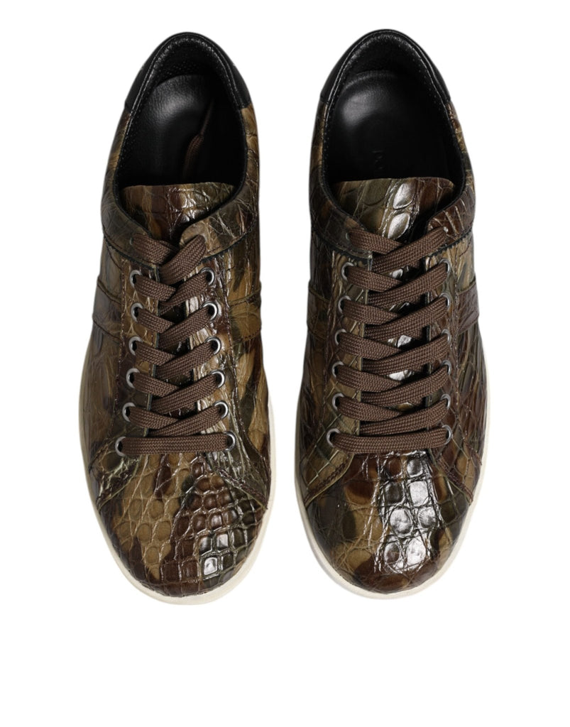 Dolce & Gabbana Brown Exotic Leather Low Top Sneakers Shoes - Beyzy Store - Dolce & Gabbana