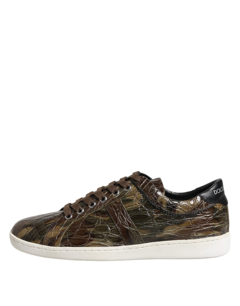 Dolce & Gabbana Brown Exotic Leather Low Top Sneakers Shoes - Beyzy Store - Dolce & Gabbana