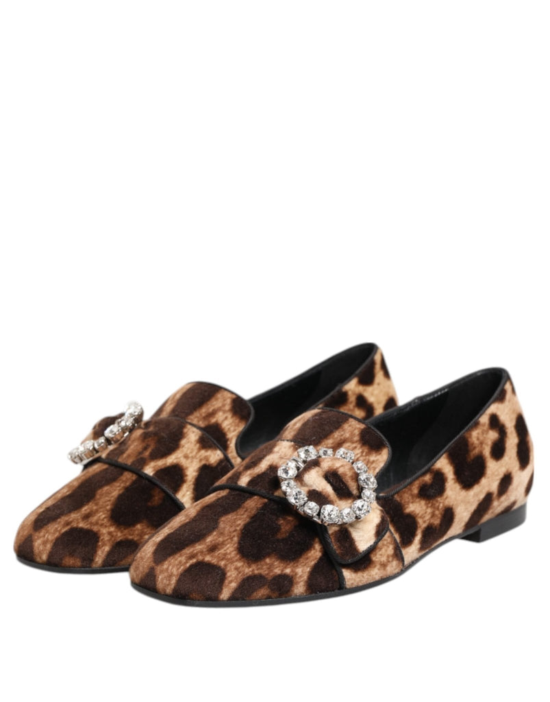Dolce & Gabbana Brown Leopard Print Crystals Loafers Flats Shoes - Beyzy Store - Dolce & Gabbana