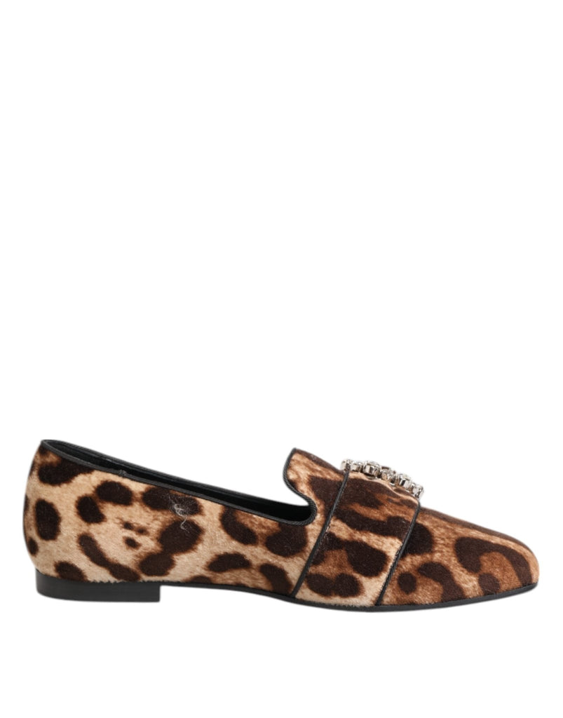 Dolce & Gabbana Brown Leopard Print Crystals Loafers Flats Shoes - Beyzy Store - Dolce & Gabbana