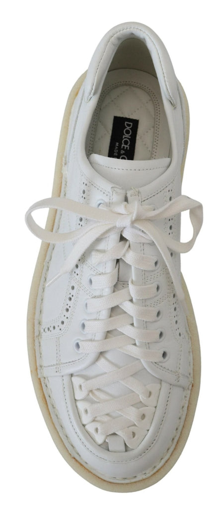 Dolce & Gabbana Elegant White Low Top Oxford Sneakers - Beyzy Store - Dolce & Gabbana