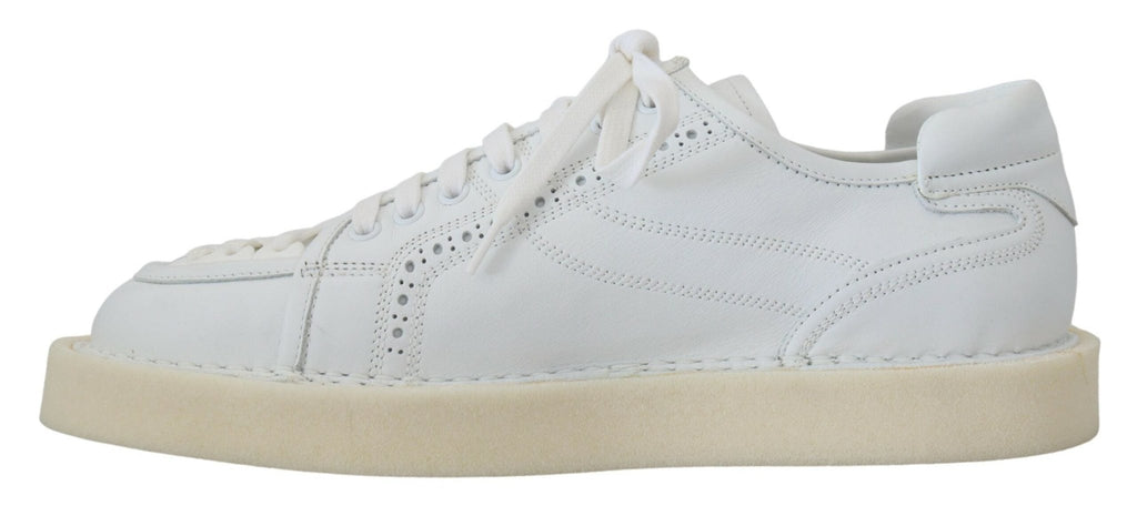 Dolce & Gabbana Elegant White Low Top Oxford Sneakers - Beyzy Store - Dolce & Gabbana