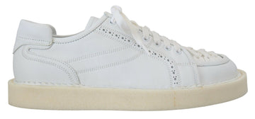 Dolce & Gabbana Elegant White Low Top Oxford Sneakers - Beyzy Store - Dolce & Gabbana