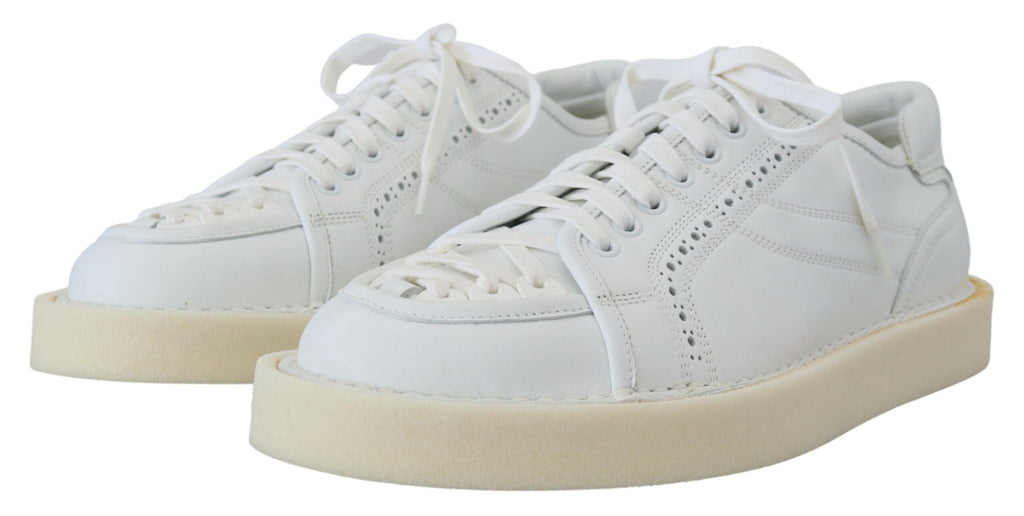 Dolce & Gabbana Elegant White Low Top Oxford Sneakers - Beyzy Store - Dolce & Gabbana