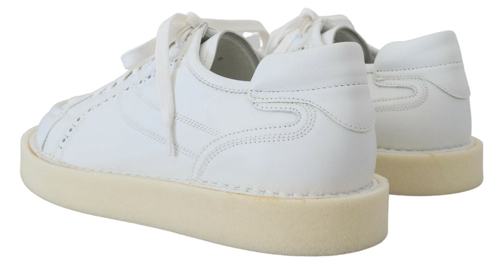 Dolce & Gabbana Elegant White Low Top Oxford Sneakers - Beyzy Store - Dolce & Gabbana