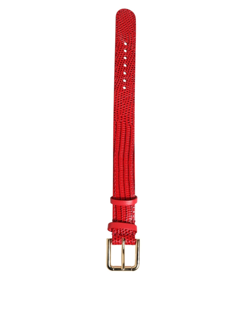 Dolce & Gabbana Red Exotic Leather Gold Tone Metal Buckle Women Armband - Beyzy Store - Dolce & Gabbana